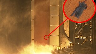 2009 m. kovo 15 d. misijos &bdquo;STS-119&ldquo; starto procedūros atgalinio skaičiavimo metu ant degalų talpyklos pastebėtas ir nufotografuotas buldoginis &scaron;ik&scaron;nosparnis.