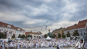 „Vakarienės baltai“ akimirka