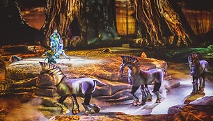 &bdquo;Cirque du Soleil&ldquo;