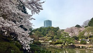 Ugnės Skonsmanaitės įspūdžiai i&scaron; Japonijos
