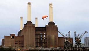 Pripučiama „Pink Floyd“ kiaulė virš Londono Batersio jėgainės.