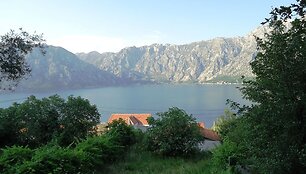 Vaizdas i&scaron; Rolando Vilkončiaus ir jo draugų nuomotos vilos