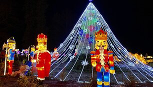 &Scaron;viesos festivalis &bdquo;Didieji Kinijos žibintai&ldquo;
