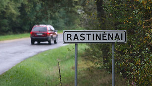 Rastinėnai