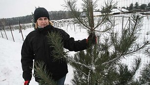 Vilniaus mi&scaron;kų urėdijos medelyno vir&scaron;ininkė Reda Konstantinavičienė