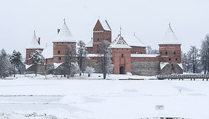 Trakų salos pilis