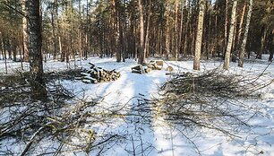 Tvarkomas Vingio parkas