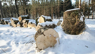 Tvarkomas Vingio parkas