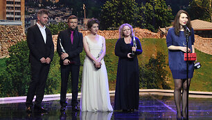 &bdquo;Sidabrinių gervių 2013&ldquo; apdovanojimų ceremonija
