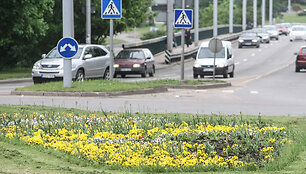 Gėlių gausa Vilnius pasigirti negali