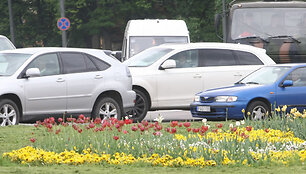 Gėlių gausa Vilnius pasigirti negali