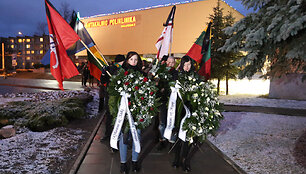 Patriotinio jaunimo eisena