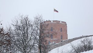 Pirmasis sniegas Vilniuje