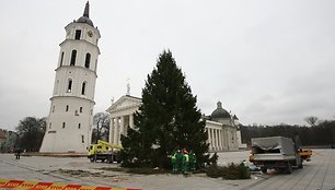 Į Katedros aikštę atvežta Kalėdų eglė