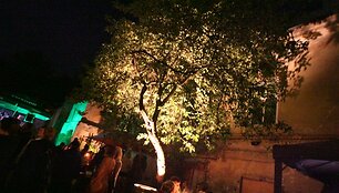 &bdquo;Green Night&ldquo; akimirka