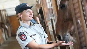 Raitosios policijos žirgai 