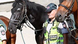 Raitosios policijos žirgai 