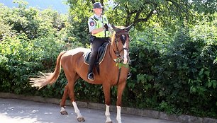 Raitosios policijos žirgai 