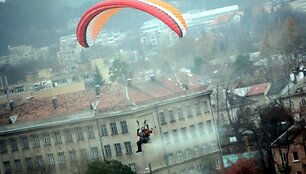 Parasparnis