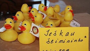 &bdquo;Ančiukų lenktynių&ldquo; akimirka