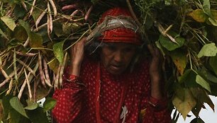 Nepalo moters portretas