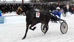 „Sartai 2011“ žirgų lenktynių akimirka