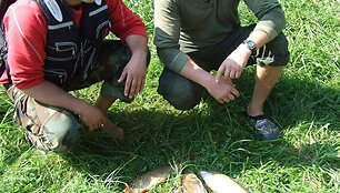 Pirmasis velkiavimo čempionato nugalėtojų duetas &ndash; Andrius &Scaron;iupinis ir Martynas Valiukas su laimikiu
