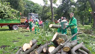 Sereikiškių parke tvarkomi išvartyti medžiai.