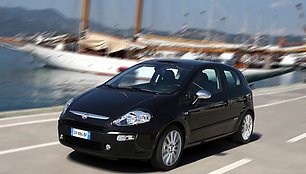 „Fiat Punto Evo”