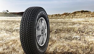 &bdquo;Goodyear&ldquo;