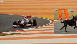 Indijos GP treniruočių metu po trasą lakstė &scaron;unys