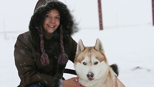 &bdquo;Sibiro haskiai buvo i&scaron;veisti tempti vidutinio svorio krovinius ilgas distancijas. Tai be galo stiprūs, energingi bei i&scaron;tvermingi ir nepavargstantys &scaron;unys, tinkantys kinkinių sportui&ldquo;, &ndash; pasakojo septynis Sibiro haskius auginanti Ingrida Bieliauskaitė.