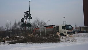 Dėl gatvės rekonstrukcijos kertamus medžius vėliau ketinama atsodinti. 