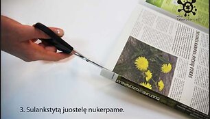 3 žingsnis