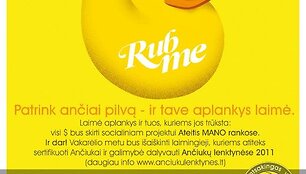 Ančiukų lenktynių plakatas