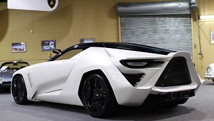 &bdquo;Bertone Mantide&ldquo; &ndash; gražuolė ir pabaisa viename
