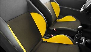 &bdquo;Renault Clio RS200&ldquo; patiks &bdquo;Formulės-1&rdquo; gerbėjams