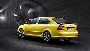 Atnaujintas &bdquo;&Scaron;koda Octavia vRS&ldquo; &ndash; galingas ir ekonomi&scaron;kas žaisliukas taupiems
