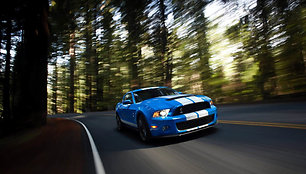 „Ford Mustang Shelby GT500“ – dar stipresnis smūgis