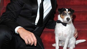Jeanas Dujardinas ir Uggie