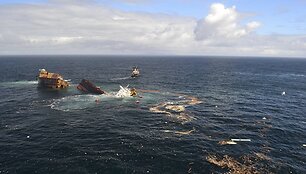 Krovininis laivas &bdquo;Rena&ldquo;