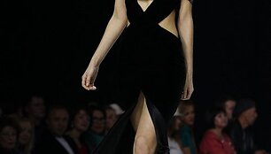 Modelis