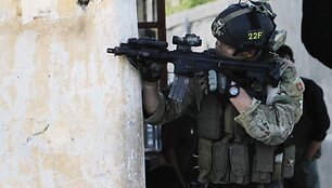 NATO karys