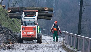 Tvarkomas Gedimino kalno &scaron;laitas