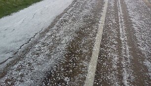 Ledok&scaron;niai ant kelio