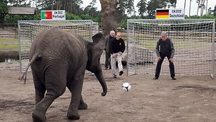 Nelly ir buvęs Vokietijos futbolo rinktinės vartininkas Seppas Maieras (dešinėje)