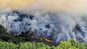 Mi&scaron;kų gaisras Ispanijoje