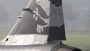 &bdquo;Saab Gripen F&ldquo; naikintuvas 