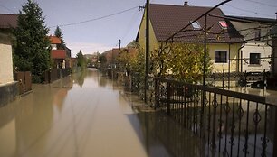 Potvynis