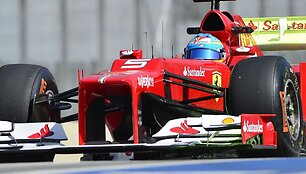 Fernando Alonso